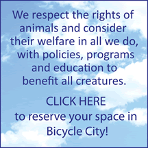 Bicycle City is Animal Friendly - Reserve Today